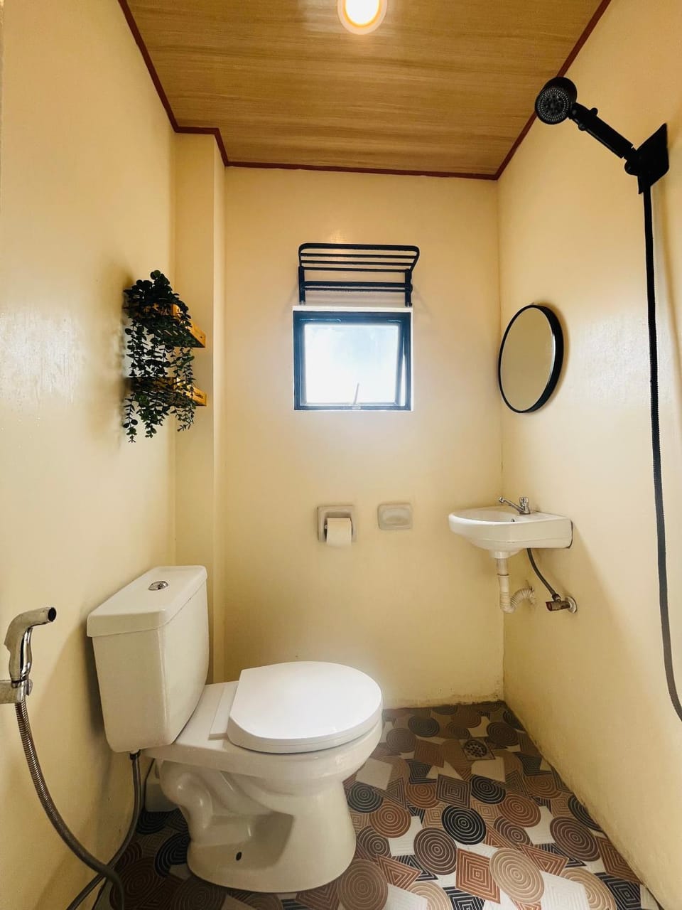 Shower, Toilet, bidet