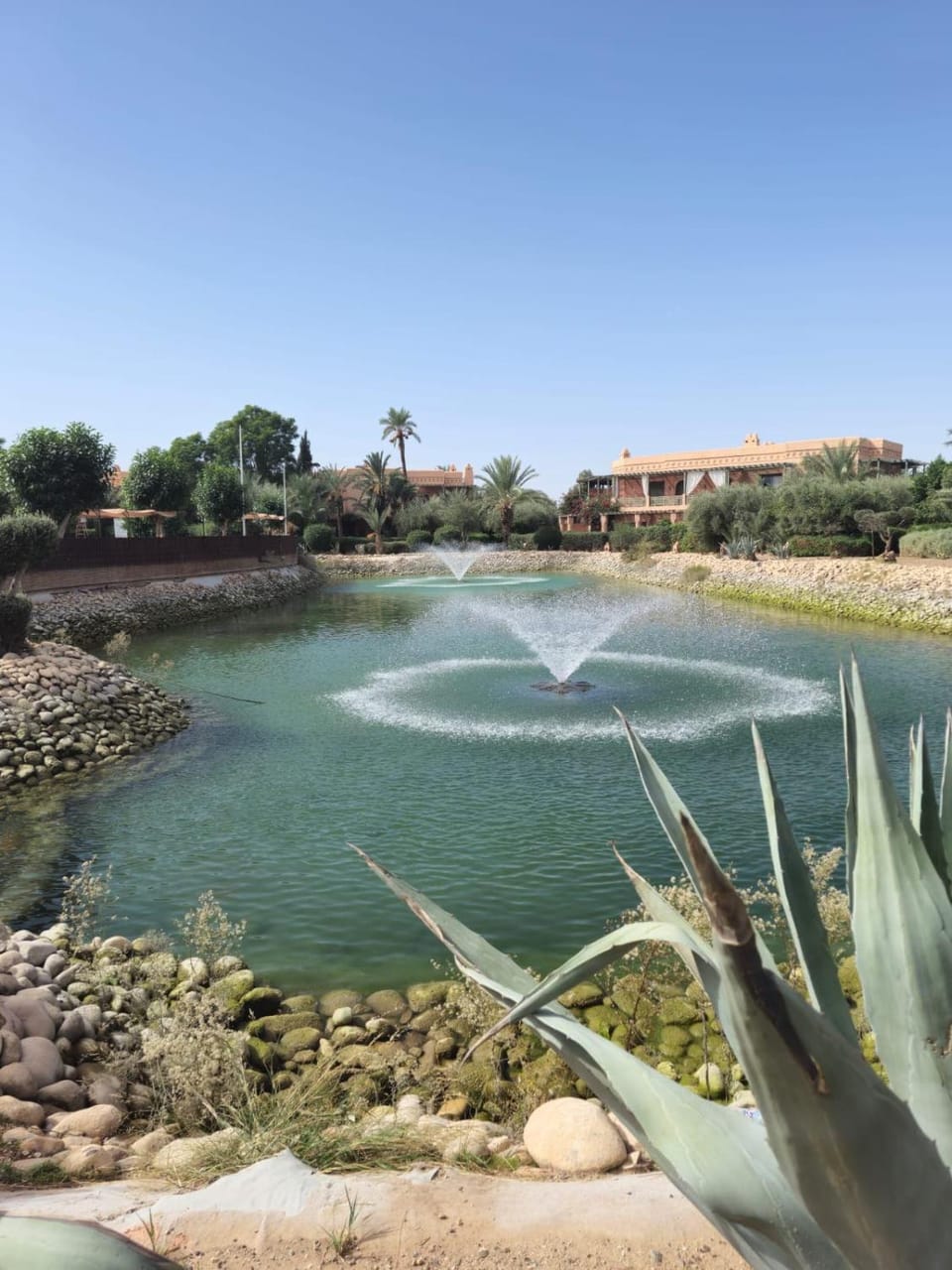 Oasis Garden Apartment Marrakech Apartment in Marrakesh