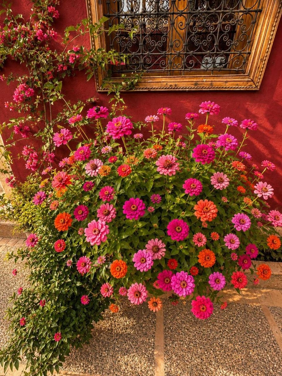 Spring, Garden