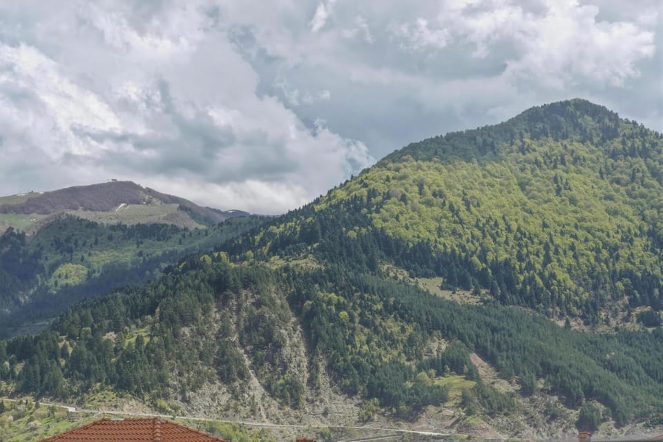 Metsovo Fireplace Retreat 2 Apartment in North Macedonia