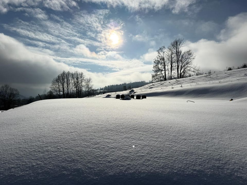Winter
