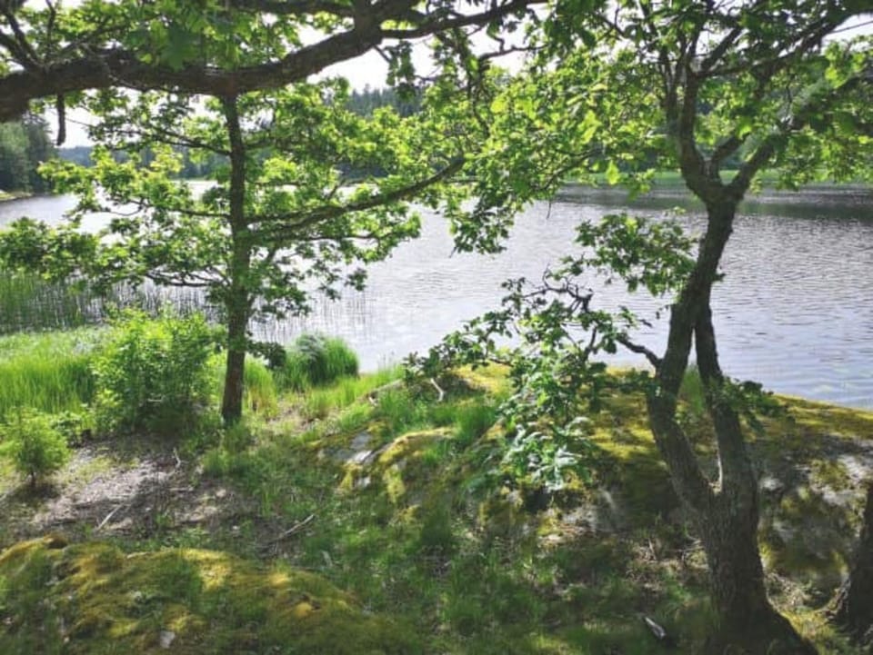 Fresh cottage with lake view and rowing boat SE09156 House in Västra Götaland County