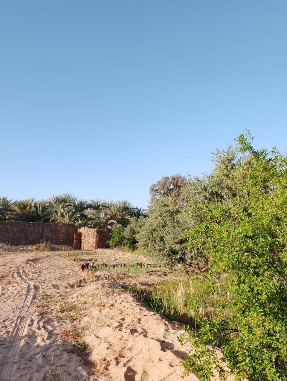 Garden, Garden view