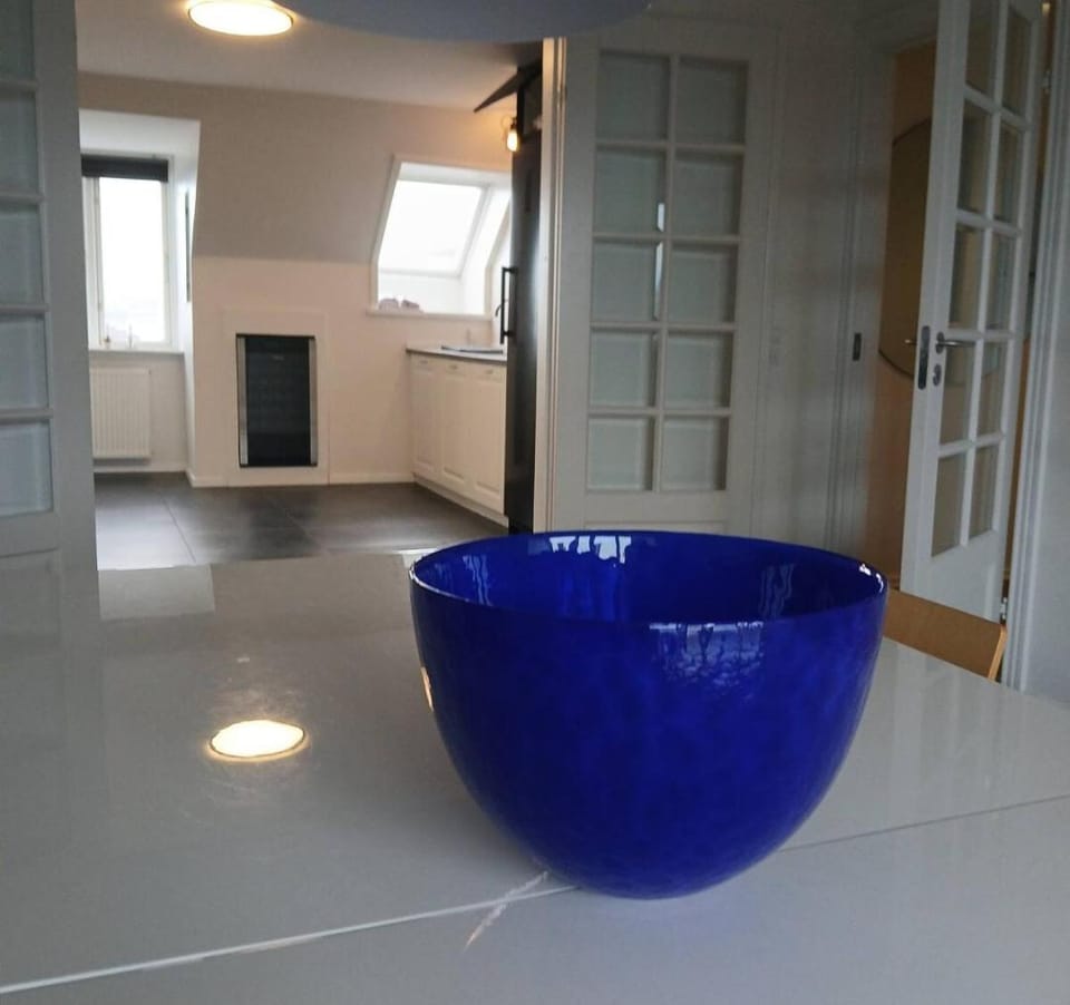 Eksklusiv stort boende Suite 1 Apartment in Frederikshavn