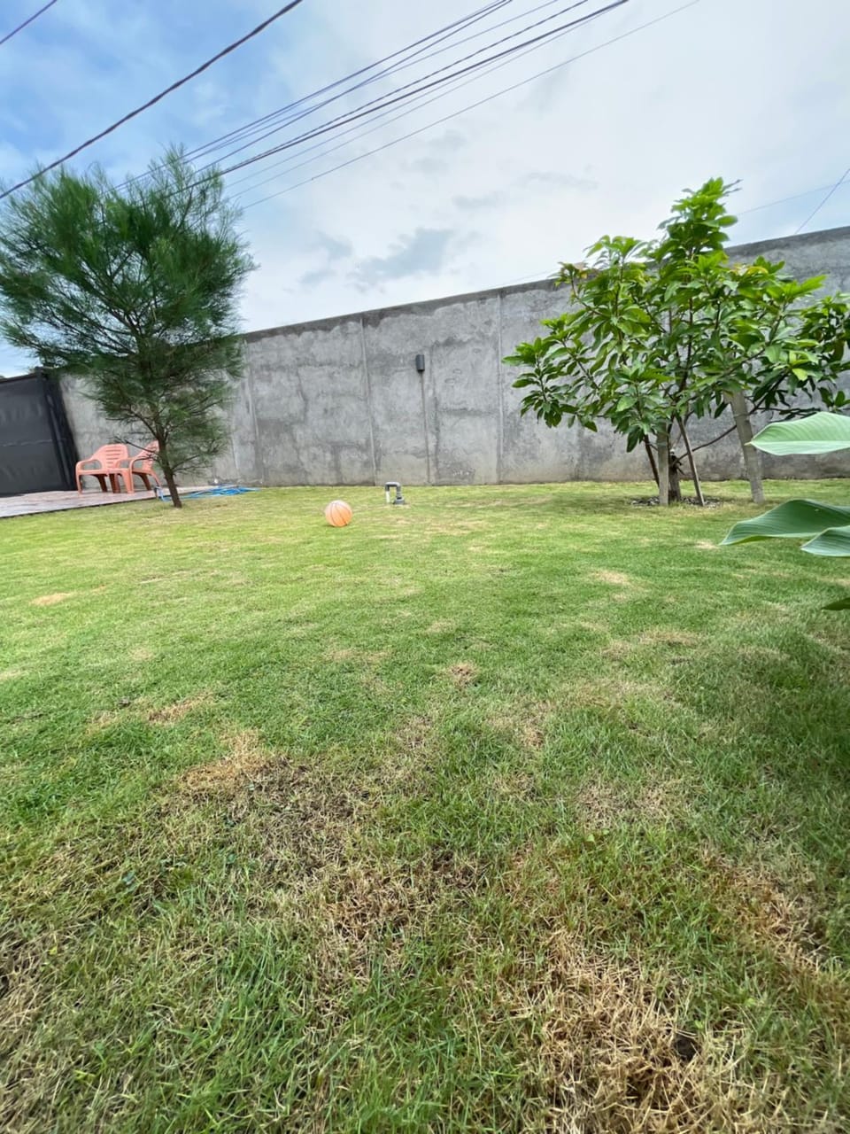 Natural landscape, Garden