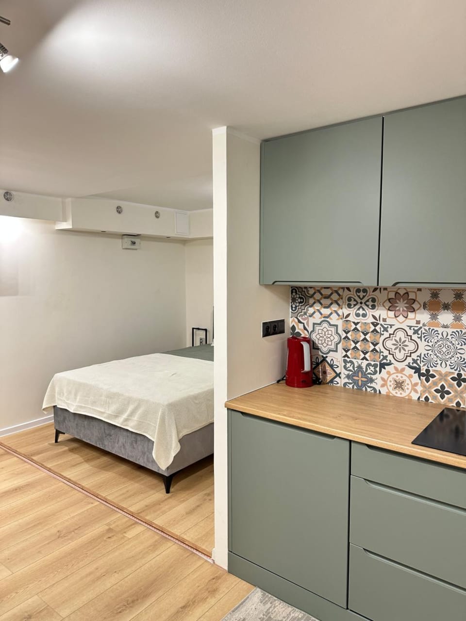 Studio Galeria Apartment in Lithuania