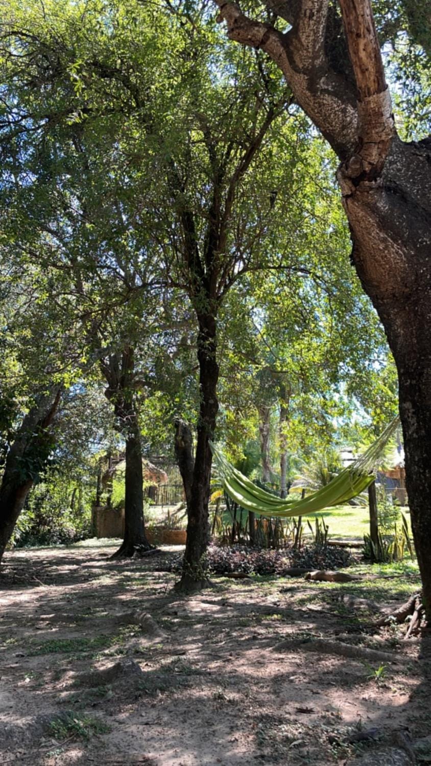 Natural landscape, Garden, Garden view