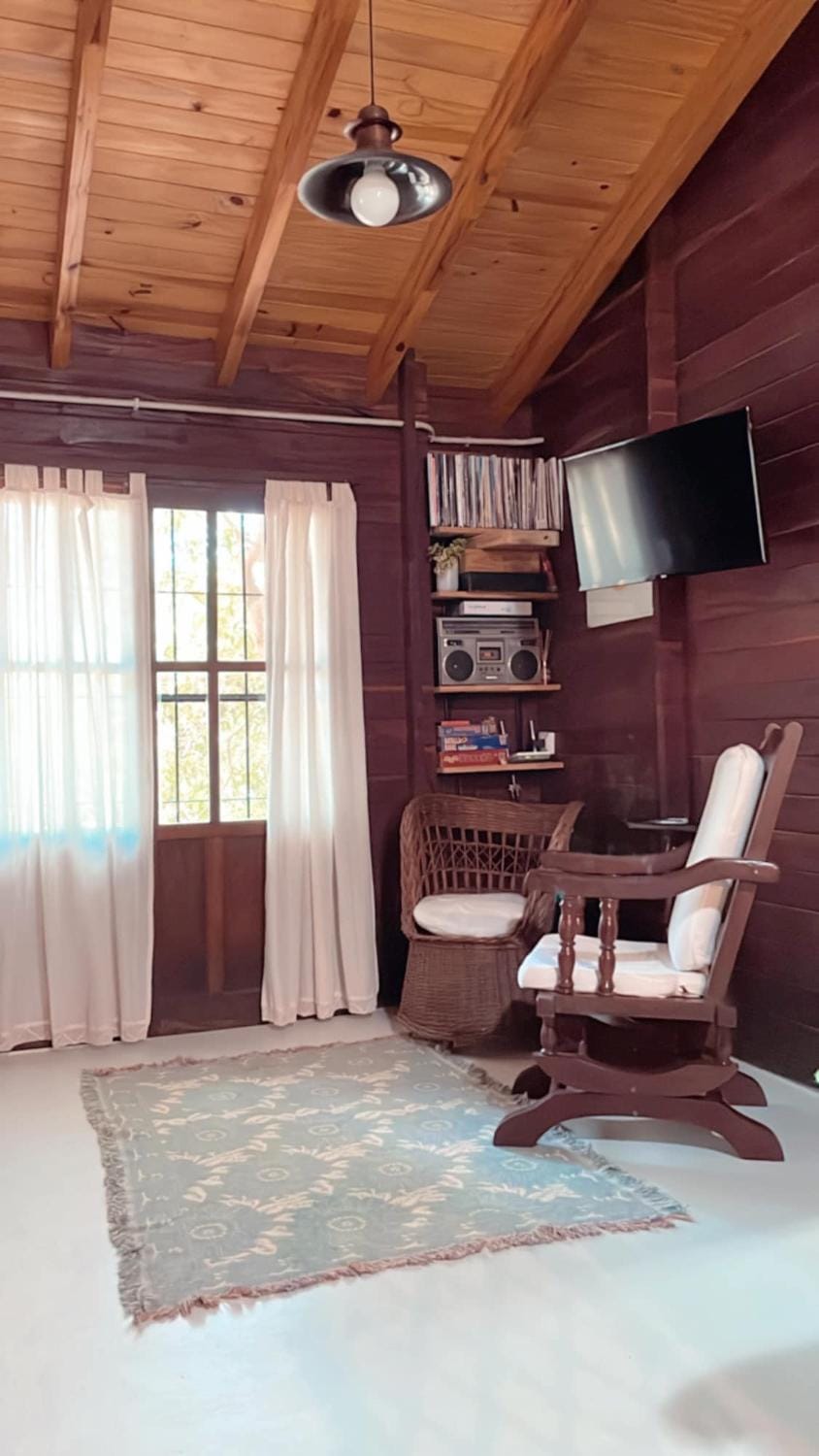 Library, TV and multimedia, Living room, Seating area