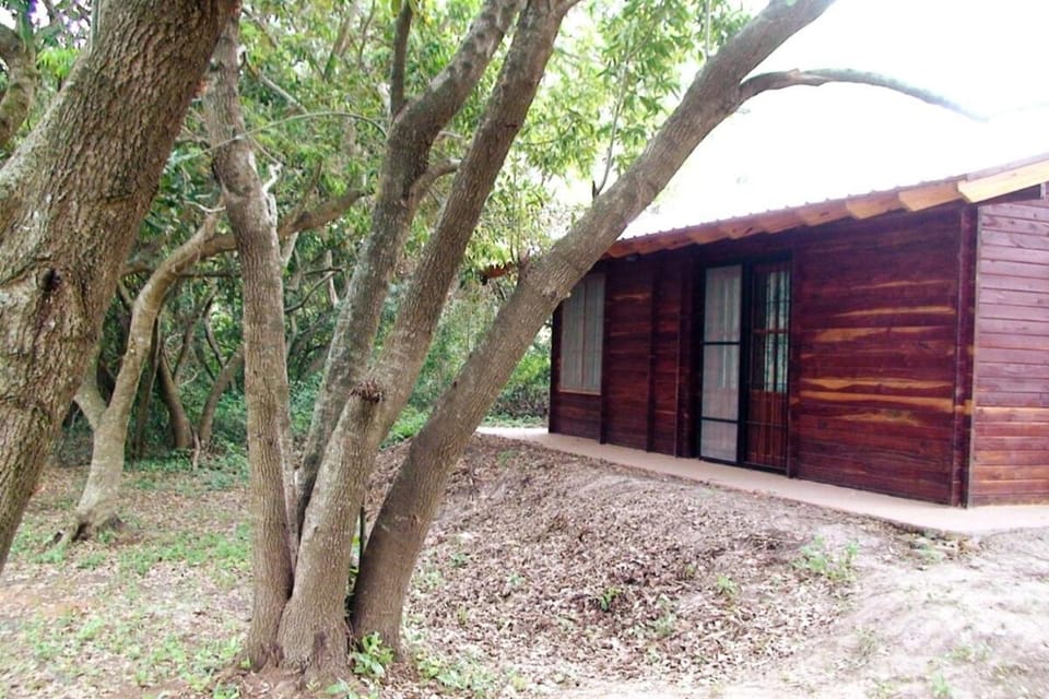 Natural landscape, Garden, Garden view