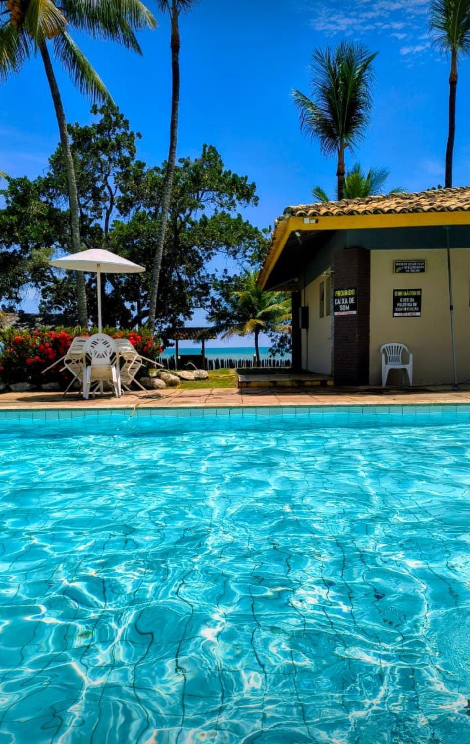 Pool view, Swimming pool