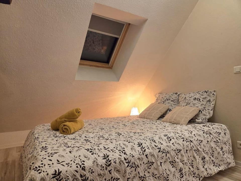 Le Cosy Center Apartment in Thonon-les-Bains