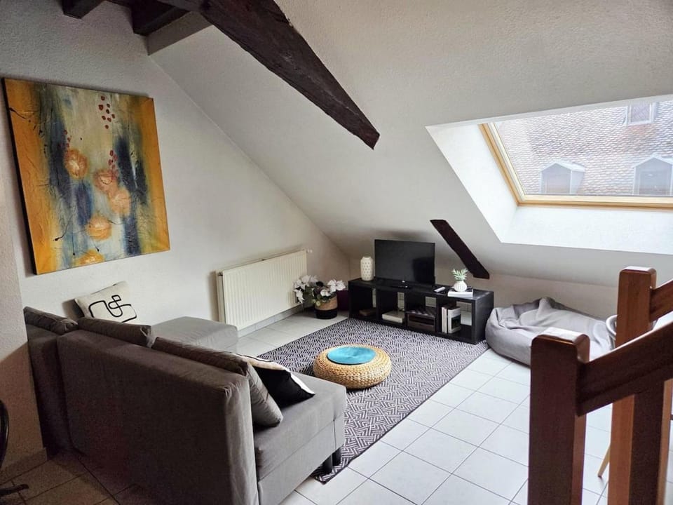 Le Cosy Center Apartment in Thonon-les-Bains