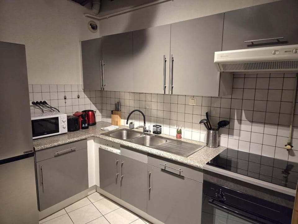 Le Cosy Center Apartment in Thonon-les-Bains
