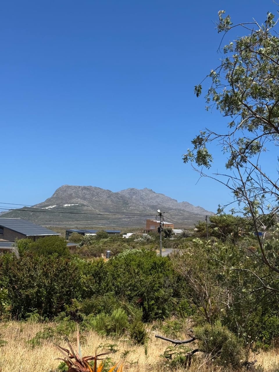 Mountain view