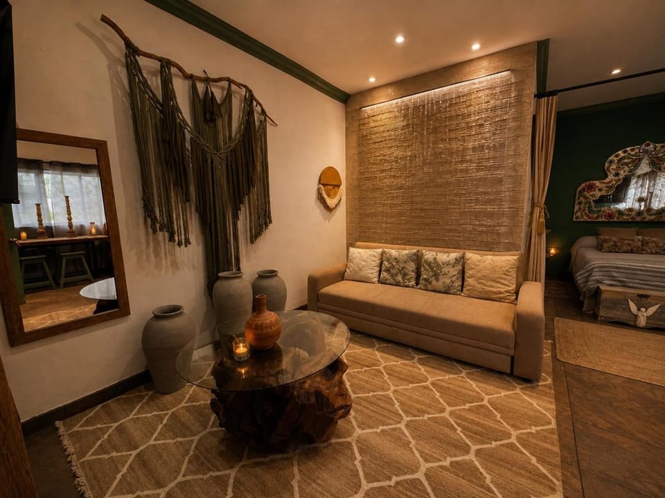 Boho luz terrace Apartment in San Miguel de Allende