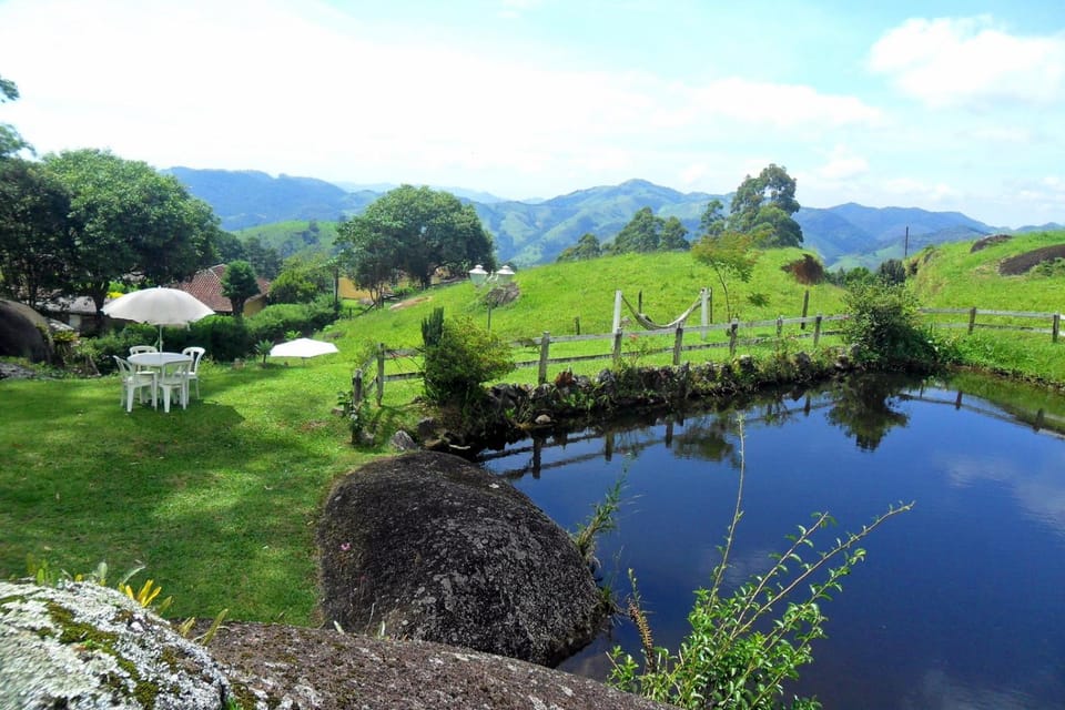 Lake view