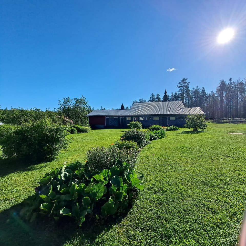 Holiday in the country-only an hour's drive to Rovaniemi Apartment in Rovaniemi