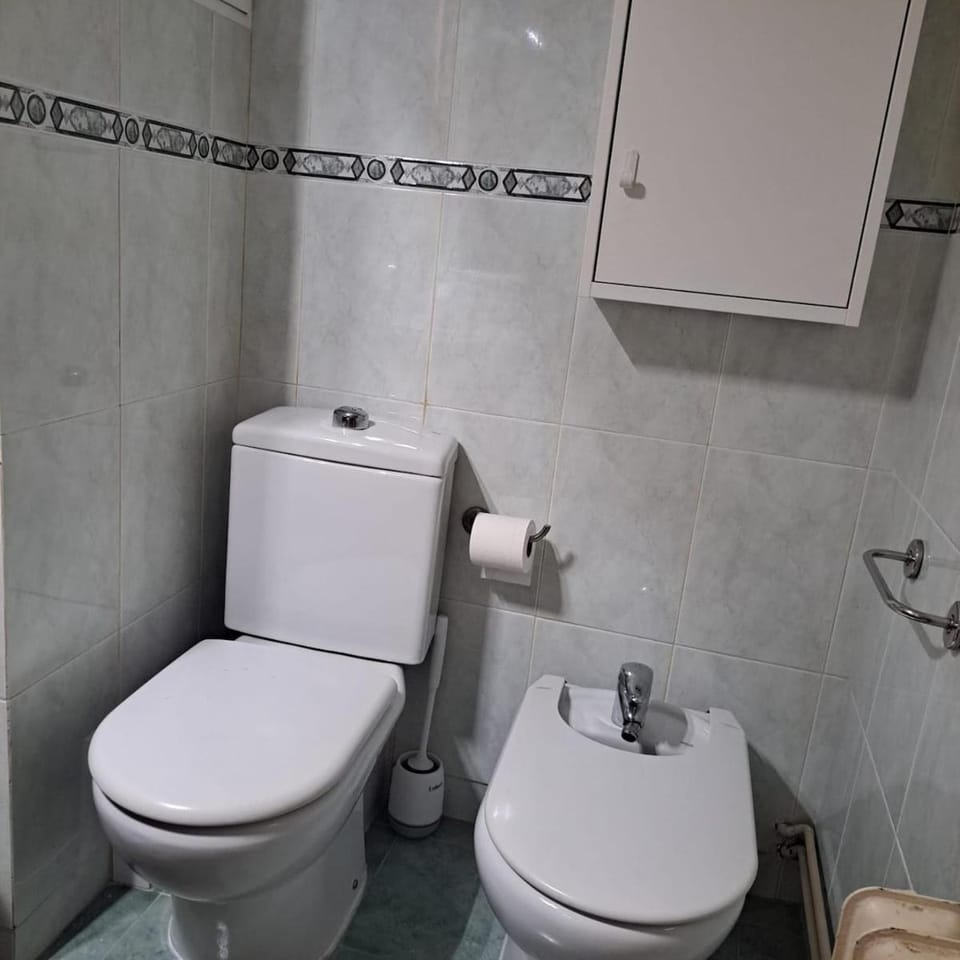 Avenida de America Suite Terrace Apartment in Madrid