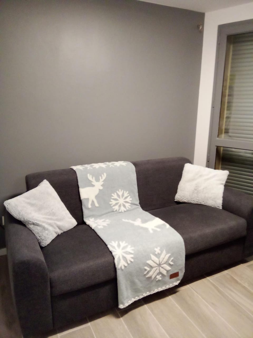 MODERNE et FONCTIONNEL Apartment in Auvergne-Rhône-Alpes