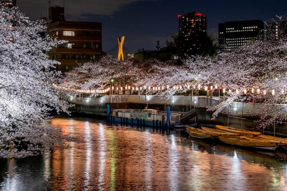 Night, Natural landscape, City view, River view