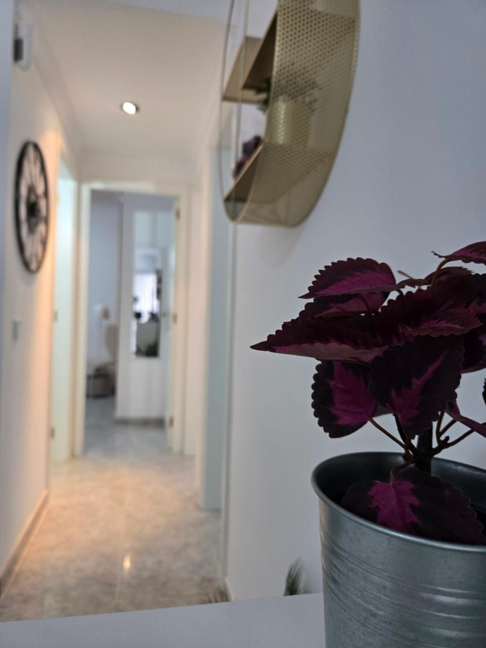 Discover the oasis of relaxation at Casa Fabio House in Isla de Lanzarote