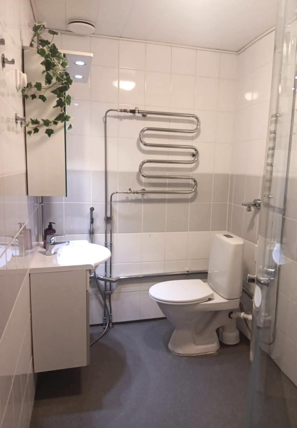 Shower, Toilet, Bathroom, bidet