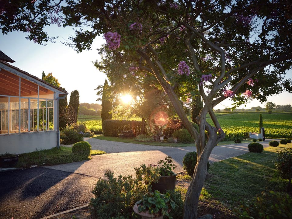 Natural landscape, Garden, Garden view, Sunrise