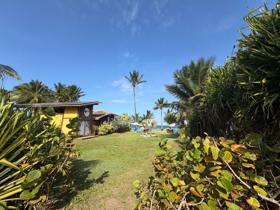Restaurant/places to eat, Day, Natural landscape, Garden, Garden view, Sea view