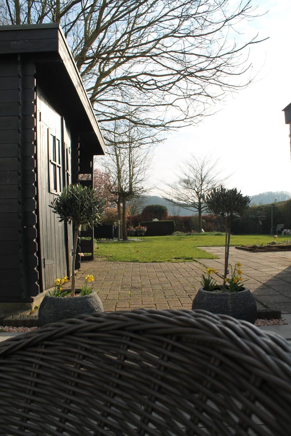 Garden view