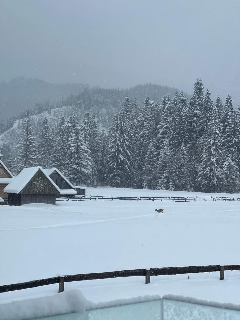 Natural landscape, Winter