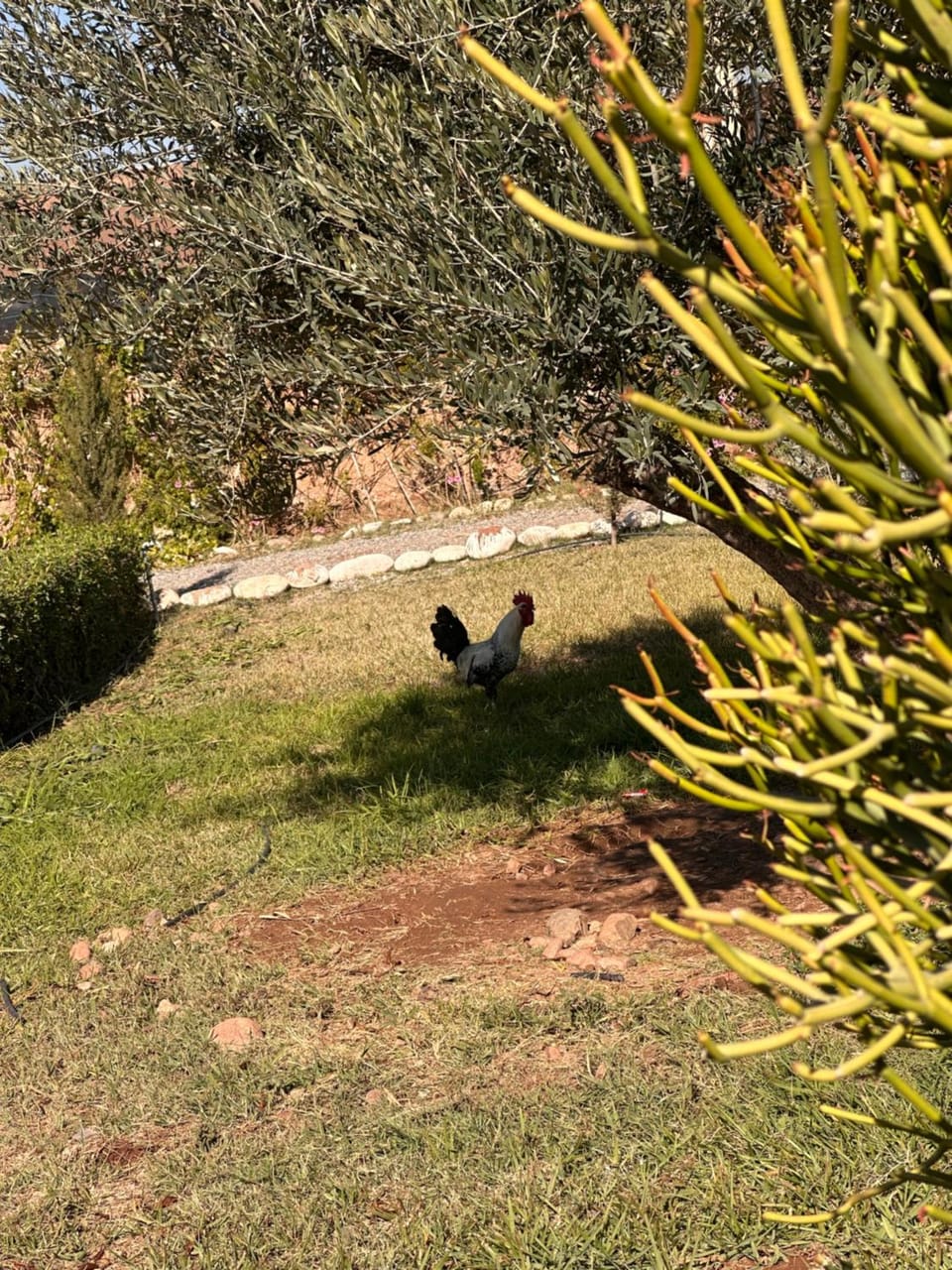 Villa Léa Villa in Marrakesh
