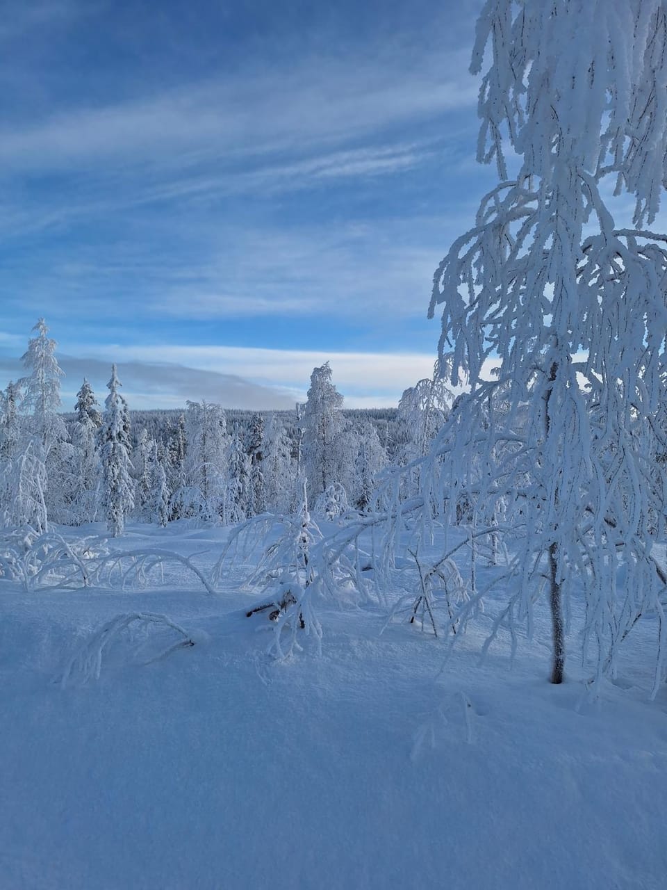 MarrasVilla House in Rovaniemi