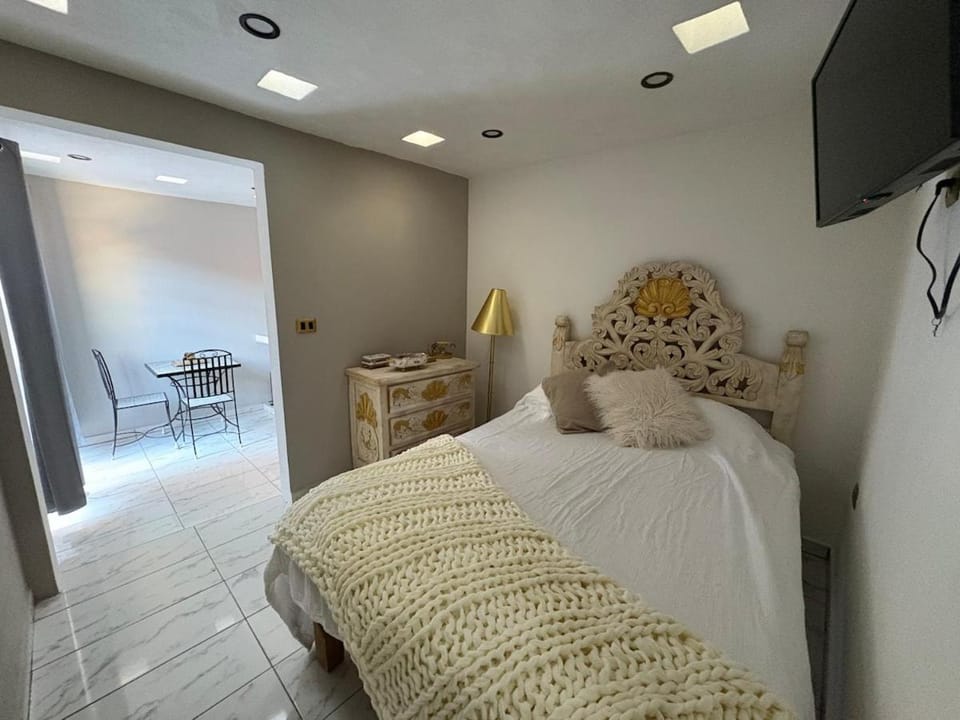 El francés Apartment in San Miguel de Allende