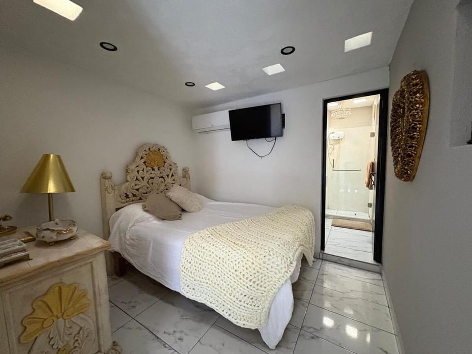 El francés Apartment in San Miguel de Allende