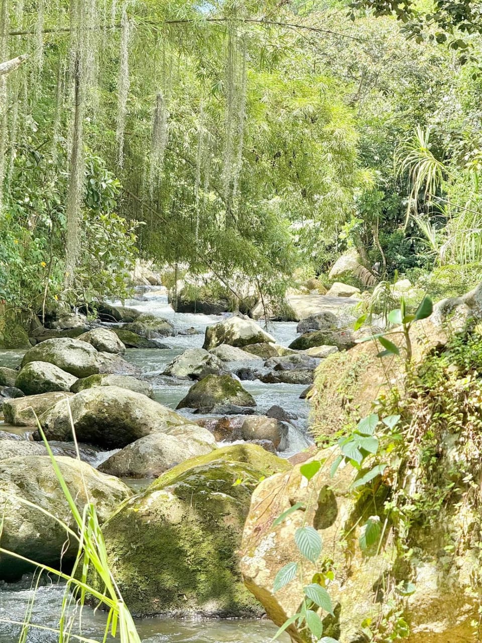 River view, pet friendly, pet friendly