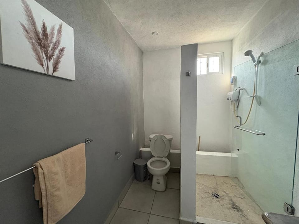 Studio Alma viajera Apartment in San Miguel de Allende
