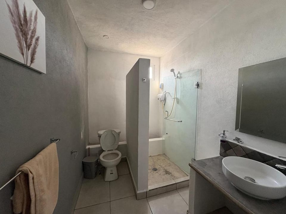 Studio Alma viajera Apartment in San Miguel de Allende