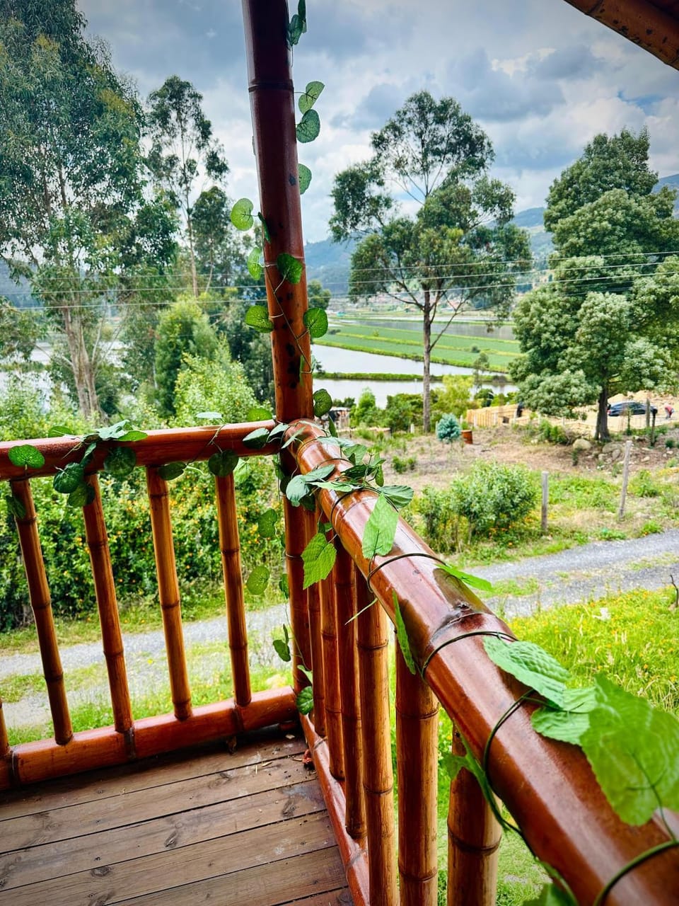 Natural landscape, View (from property/room), Garden view