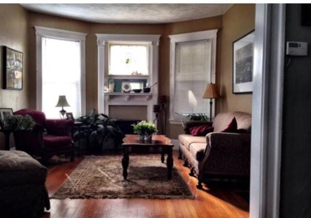 Private room MUST LOVE DOGS Apartment in Quincy