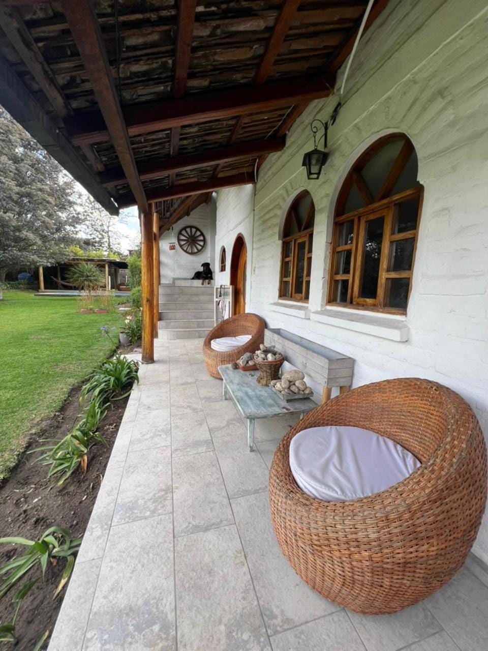 Garden view