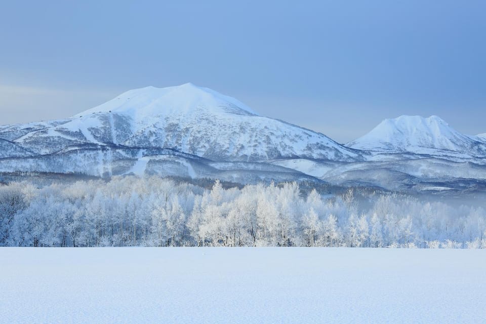 Henry Hotel in Niseko