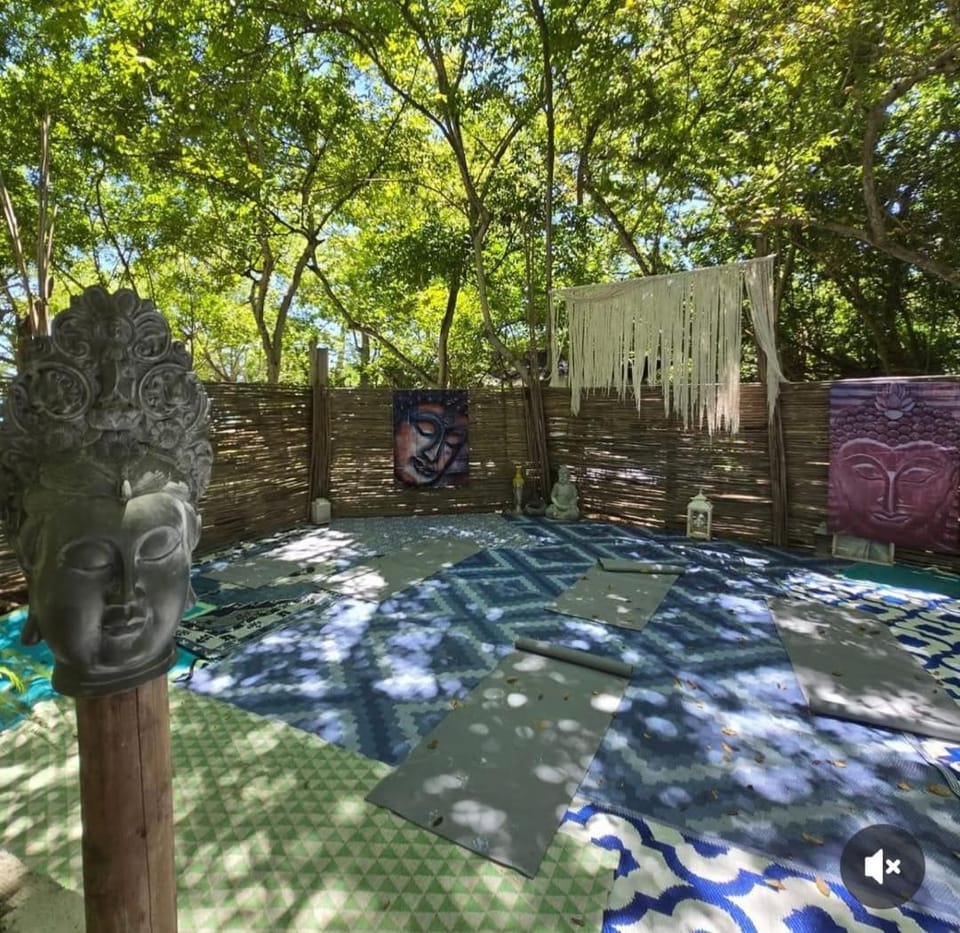 Natural landscape, Garden, Garden view