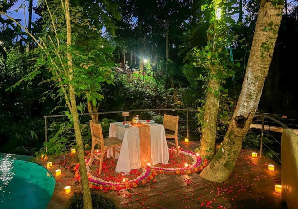 Restaurant/places to eat, Swimming pool, Dinner