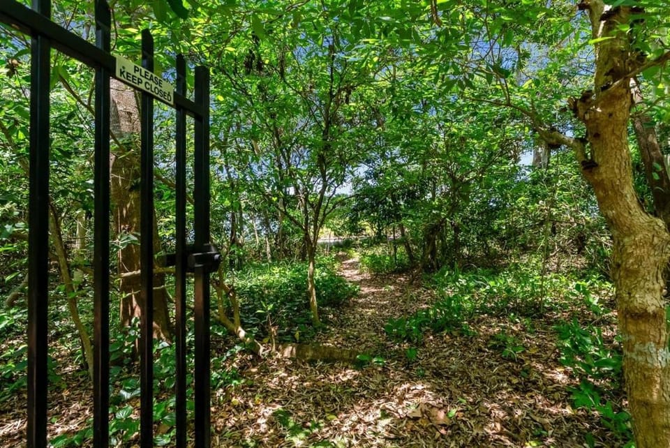 Belle Escapes Rainforest Shore House in Cairns
