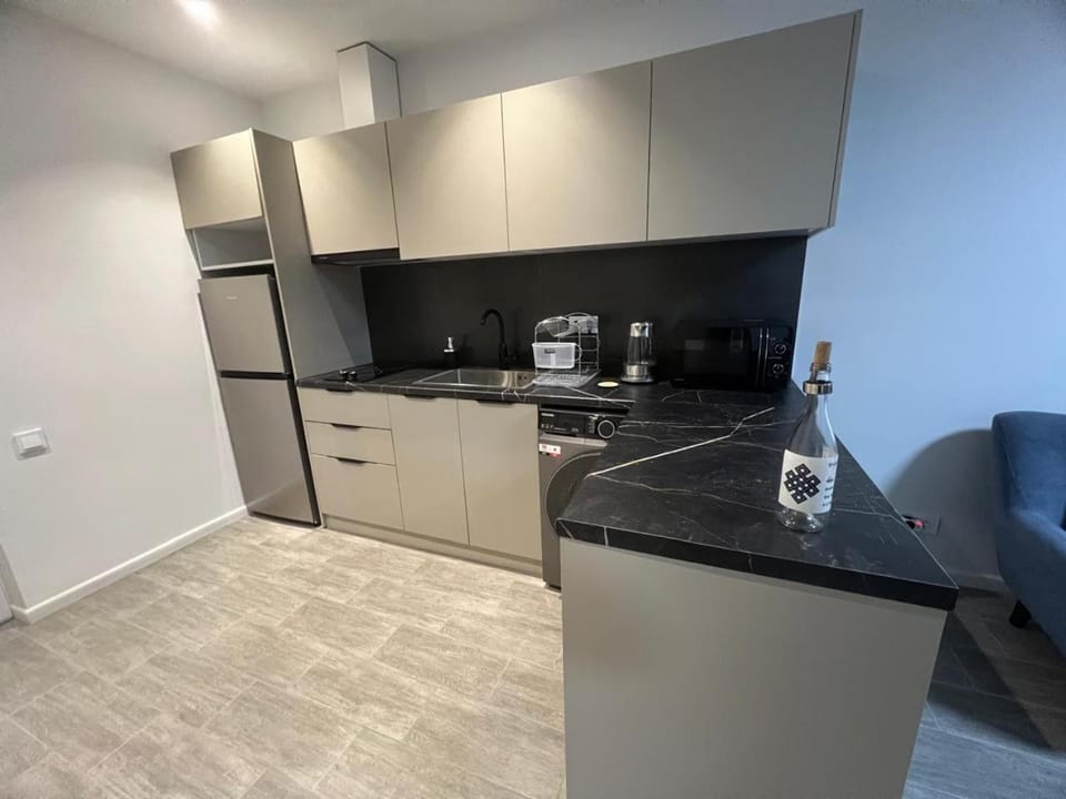 Kitchen or kitchenette, kitchen