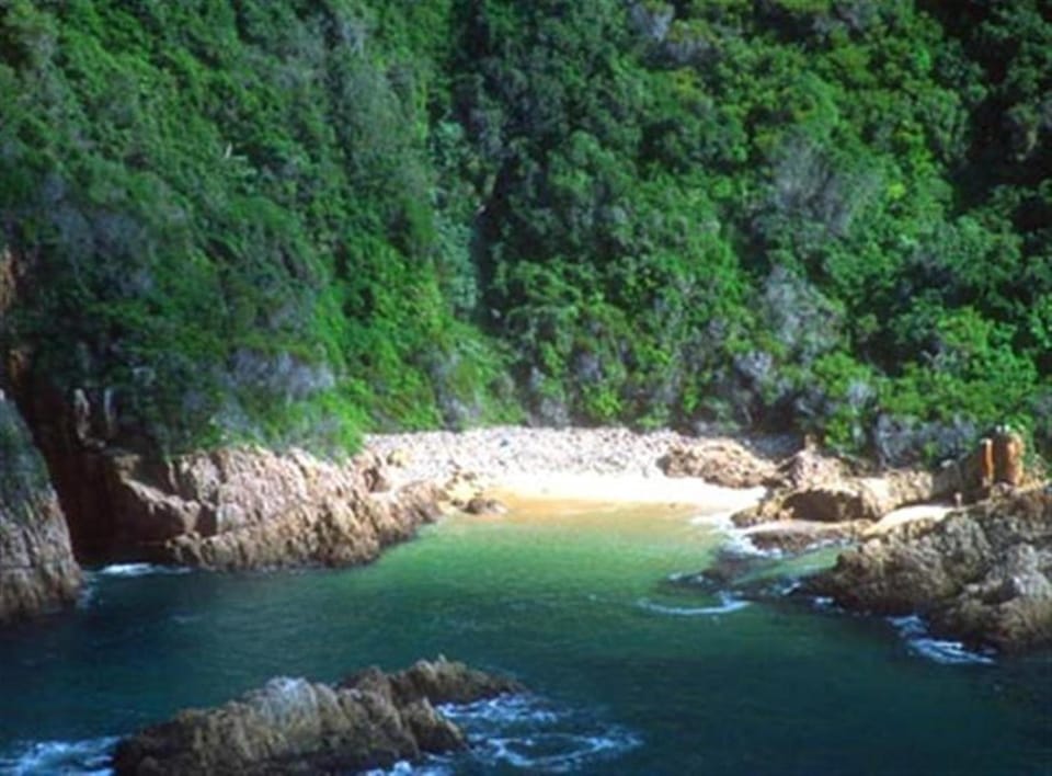 Natural landscape, Beach, Hiking