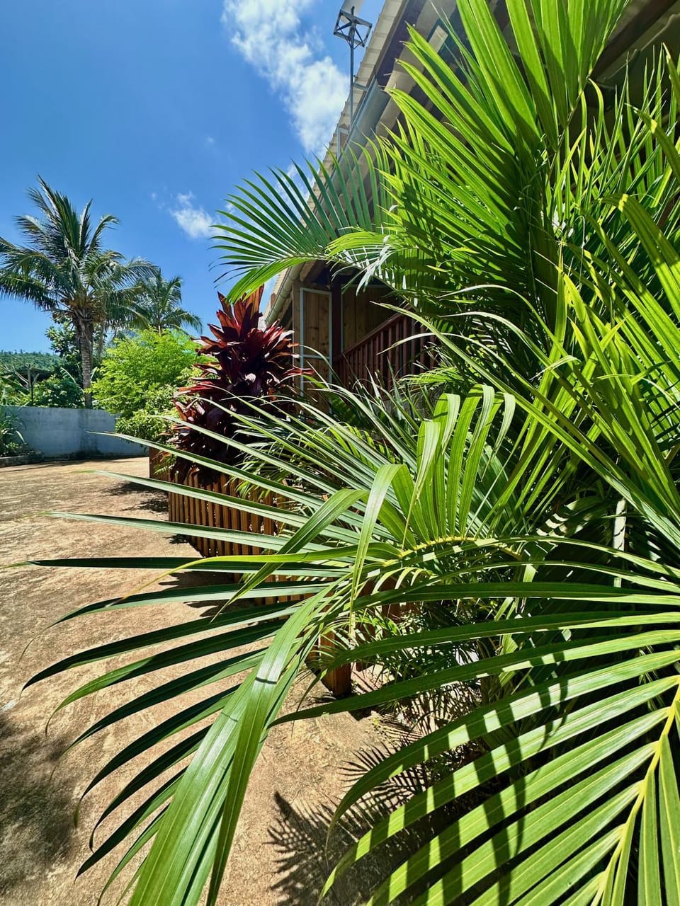 Property building, Garden, Garden view