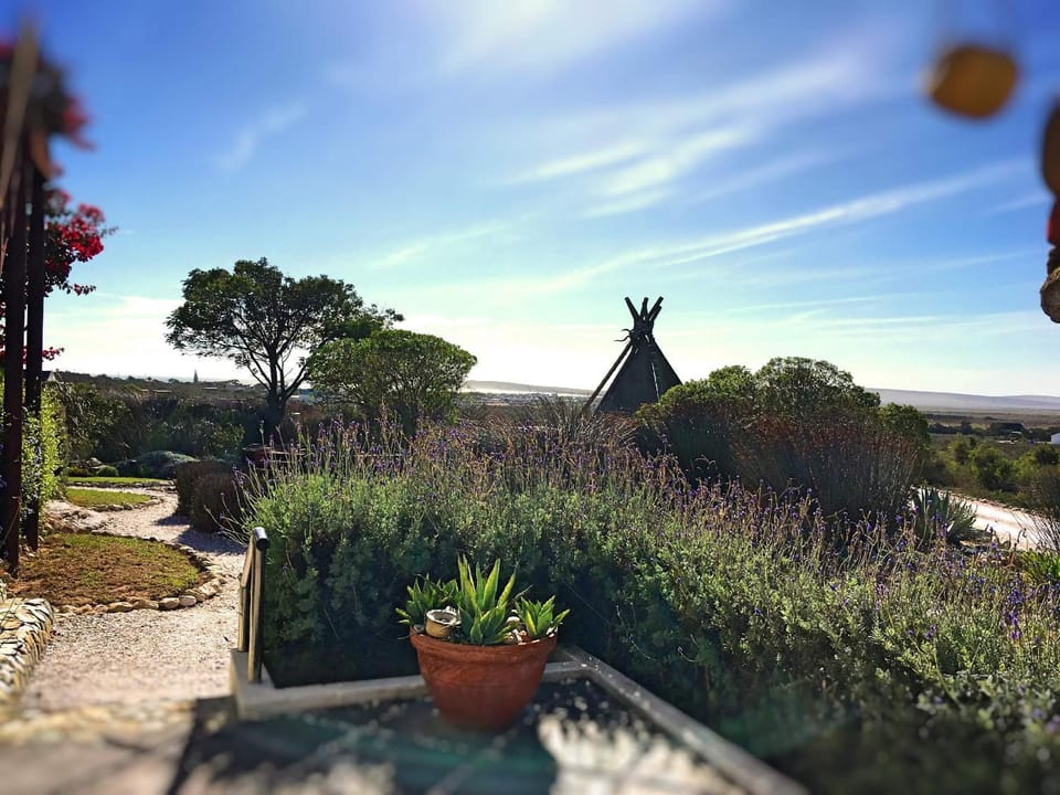 Garden, Garden, Garden view
