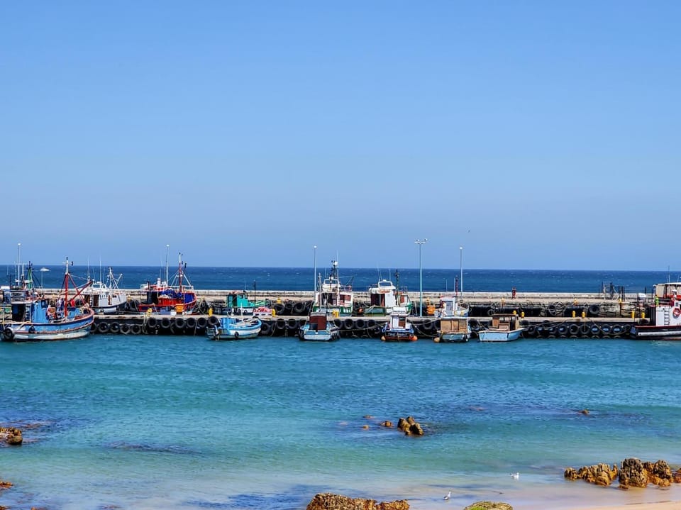 Kalk Bay 1-Bed at Windsor Apartments near Harbour Apartment in Cape Town