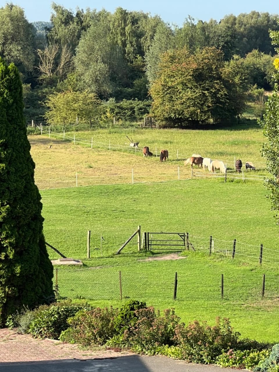 Sfeervolle kamer aan de Dorpsdijk met Gratis Ontbijt Bed and Breakfast in Kleve